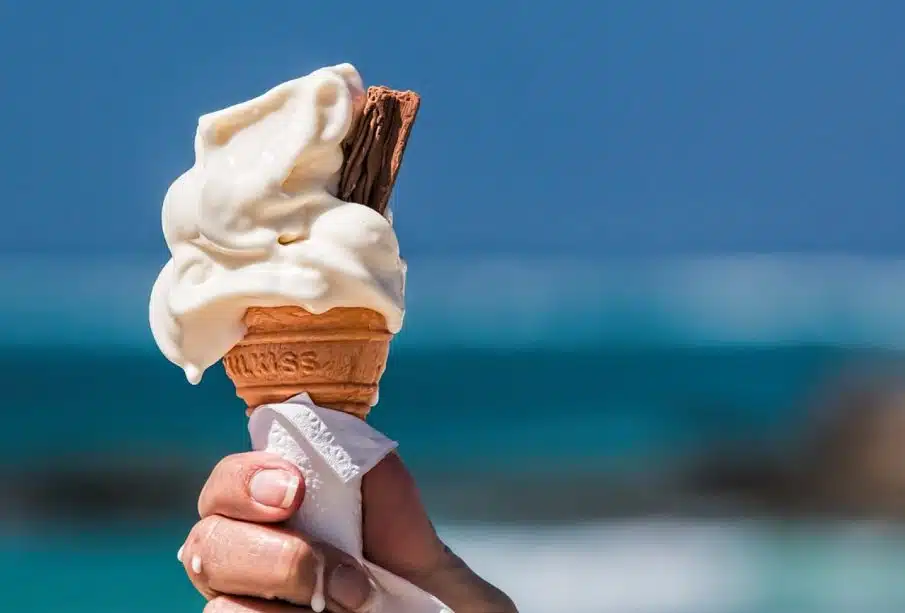 Professionnels : comment choisir votre machine à glace italienne ?